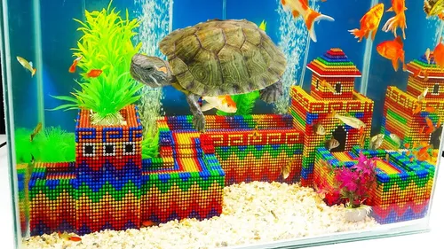 Build Great Wall In Aqurium For Turtle Fish With Magnetic Balls Satisfying